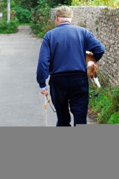V čem pa vi sprehajate psa? Foto: John Evans